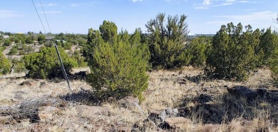 Build your dream property on this desirable Cul-De-Sac lot that on Silver Creek Golf Club in Arizona - for sale on GolfHomes.com, golf home, golf lot