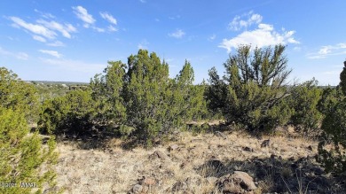 Build your dream property on this desirable Cul-De-Sac lot that on Silver Creek Golf Club in Arizona - for sale on GolfHomes.com, golf home, golf lot