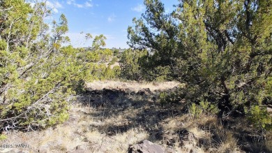Build your dream property on this desirable Cul-De-Sac lot that on Silver Creek Golf Club in Arizona - for sale on GolfHomes.com, golf home, golf lot