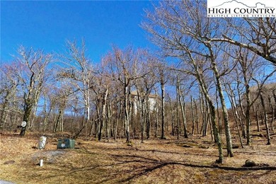 A ~5,000' elevation property at the top of Sugar Mountain in the on Sugar Mountain Golf Course in North Carolina - for sale on GolfHomes.com, golf home, golf lot
