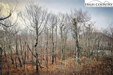 A ~5,000' elevation property at the top of Sugar Mountain in the on Sugar Mountain Golf Course in North Carolina - for sale on GolfHomes.com, golf home, golf lot