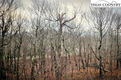 A ~5,000' elevation property at the top of Sugar Mountain in the on Sugar Mountain Golf Course in North Carolina - for sale on GolfHomes.com, golf home, golf lot