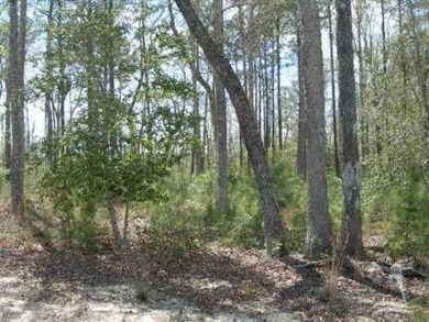 Bring your Builders! Great building site in this beautiful gated on Lockwood Folly Country Club in North Carolina - for sale on GolfHomes.com, golf home, golf lot
