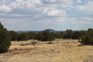 Rancher's dream! 18.75-acre off-grid horse property just 25 on Silver Creek Golf Club in Arizona - for sale on GolfHomes.com, golf home, golf lot
