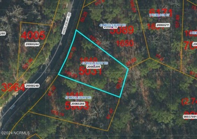 Beautiful lot is located in the prestigious North Village of on Forest Creek Golf Club  in North Carolina - for sale on GolfHomes.com, golf home, golf lot