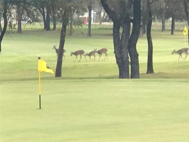 This lot is located overlooking the fairway on #1 of the Old on White Bluff Resort - Old Course in Texas - for sale on GolfHomes.com, golf home, golf lot