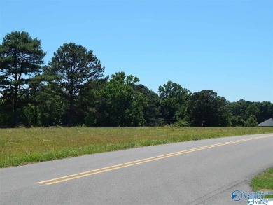 Attention investors & developers! Here is your opportunity to on Twin Lakes Golf Course in Alabama - for sale on GolfHomes.com, golf home, golf lot