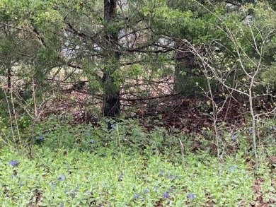 Beautiful lot with lots of potential! Plenty of wildlife for a on Holiday Island Golf Course in Arkansas - for sale on GolfHomes.com, golf home, golf lot