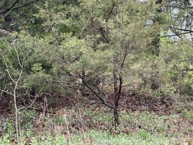 Beautiful lot with lots of potential! Plenty of wildlife for a on Holiday Island Golf Course in Arkansas - for sale on GolfHomes.com, golf home, golf lot