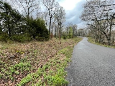 Beautiful lot with lots of potential! Plenty of wildlife for a on Holiday Island Golf Course in Arkansas - for sale on GolfHomes.com, golf home, golf lot