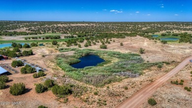 Your very own pond! Absolutely Gorgeous property close to Birdy on Silver Creek Golf Club in Arizona - for sale on GolfHomes.com, golf home, golf lot