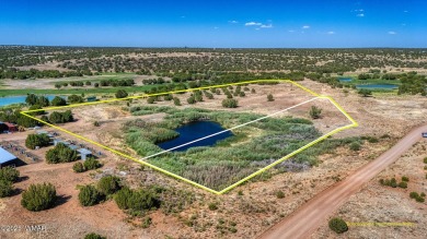 Your very own pond! Absolutely Gorgeous property close to Birdy on Silver Creek Golf Club in Arizona - for sale on GolfHomes.com, golf home, golf lot