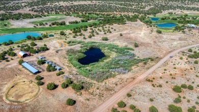 Your very own pond! Absolutely Gorgeous property close to Birdy on Silver Creek Golf Club in Arizona - for sale on GolfHomes.com, golf home, golf lot