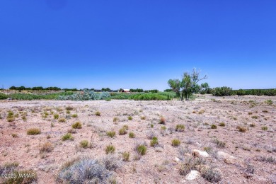 Your very own pond! Absolutely Gorgeous property close to Birdy on Silver Creek Golf Club in Arizona - for sale on GolfHomes.com, golf home, golf lot