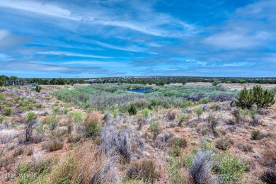 Your very own pond! Absolutely Gorgeous property close to Birdy on Silver Creek Golf Club in Arizona - for sale on GolfHomes.com, golf home, golf lot