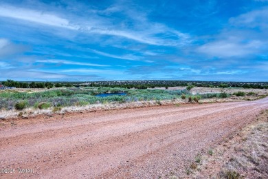 Your very own pond! Absolutely Gorgeous property close to Birdy on Silver Creek Golf Club in Arizona - for sale on GolfHomes.com, golf home, golf lot
