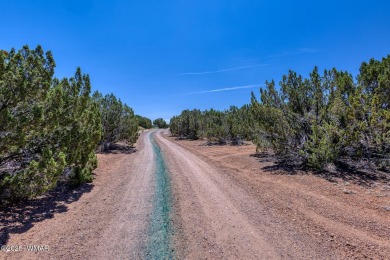 Gorgeous piece of property with incredible views close to Birdie on Silver Creek Golf Club in Arizona - for sale on GolfHomes.com, golf home, golf lot