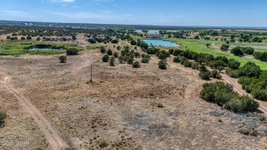 Gorgeous piece of property with incredible views close to Birdie on Silver Creek Golf Club in Arizona - for sale on GolfHomes.com, golf home, golf lot