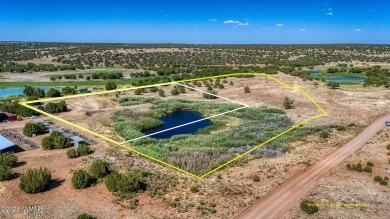 Incredible future homesite bordering pond and fairway view! on Silver Creek Golf Club in Arizona - for sale on GolfHomes.com, golf home, golf lot