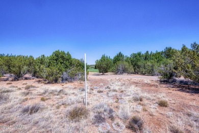 Incredible future homesite bordering pond and fairway view! on Silver Creek Golf Club in Arizona - for sale on GolfHomes.com, golf home, golf lot
