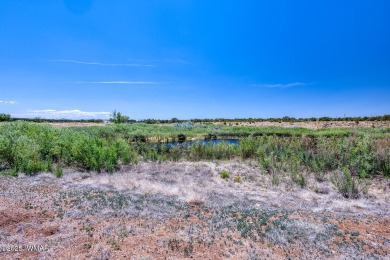 Incredible future homesite bordering pond and fairway view! on Silver Creek Golf Club in Arizona - for sale on GolfHomes.com, golf home, golf lot