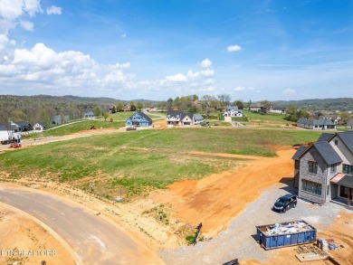 A lake view lot at an unbeatable price! Discover the essence of on Tennessee National Golf Club in Tennessee - for sale on GolfHomes.com, golf home, golf lot