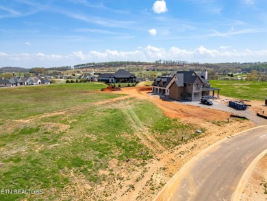 A lake view lot at an unbeatable price! Discover the essence of on Tennessee National Golf Club in Tennessee - for sale on GolfHomes.com, golf home, golf lot