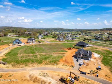 A lake view lot at an unbeatable price! Discover the essence of on Tennessee National Golf Club in Tennessee - for sale on GolfHomes.com, golf home, golf lot