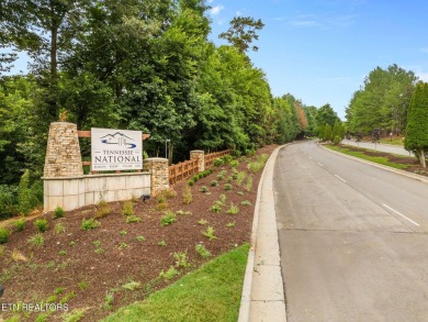 A lake view lot at an unbeatable price! Discover the essence of on Tennessee National Golf Club in Tennessee - for sale on GolfHomes.com, golf home, golf lot