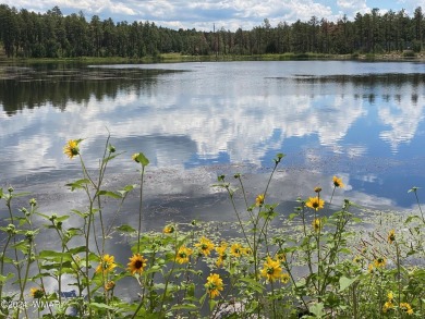 Fully furnished upper unit condo in peaceful Pinetop location on Pinetop Lakes Golf and Country Club in Arizona - for sale on GolfHomes.com, golf home, golf lot