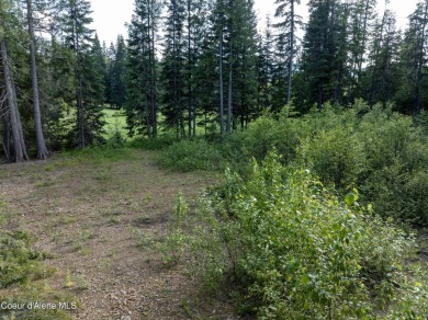One of the best golf course lots available--right on the 6th on Priest Lake Golf and Tennis Club in Idaho - for sale on GolfHomes.com, golf home, golf lot