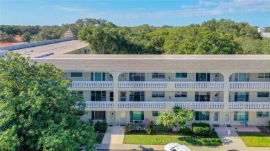 STUNNING!! LIKE NEW!! Fully renovated 2 Bed/ 2 Bath unit in the on On Top Of The World Golf Course in Florida - for sale on GolfHomes.com, golf home, golf lot