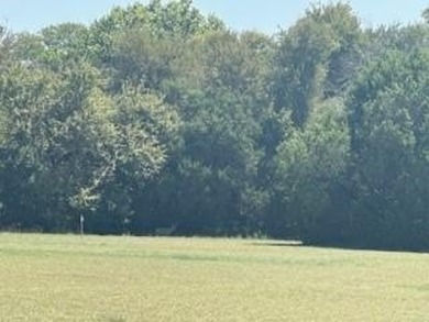 White Bluff is the place to be.   This is a great corner lot on White Bluff Resort - Old Course in Texas - for sale on GolfHomes.com, golf home, golf lot