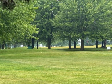 Updated Condo on Woodland Hills Golf Course - No HOA Fees! Don't on Woodland Hills Golf Course in Michigan - for sale on GolfHomes.com, golf home, golf lot