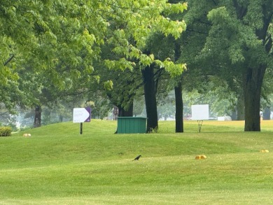 Updated Condo on Woodland Hills Golf Course - No HOA Fees! Don't on Woodland Hills Golf Course in Michigan - for sale on GolfHomes.com, golf home, golf lot