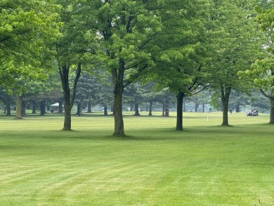 Updated Condo on Woodland Hills Golf Course - No HOA Fees! Don't on Woodland Hills Golf Course in Michigan - for sale on GolfHomes.com, golf home, golf lot