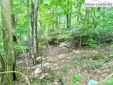 Sloping, wooded lot located in the desirable Shadow Brook on Mountain Aire Golf Course in North Carolina - for sale on GolfHomes.com, golf home, golf lot