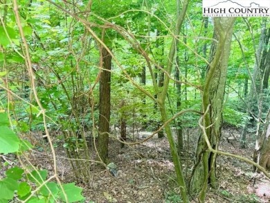 Sloping, wooded lot located in the desirable Shadow Brook on Mountain Aire Golf Course in North Carolina - for sale on GolfHomes.com, golf home, golf lot