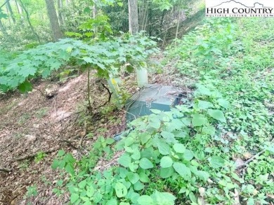 Sloping, wooded lot located in the desirable Shadow Brook on Mountain Aire Golf Course in North Carolina - for sale on GolfHomes.com, golf home, golf lot