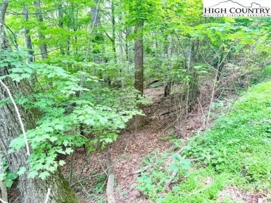 Sloping, wooded lot located in the desirable Shadow Brook on Mountain Aire Golf Course in North Carolina - for sale on GolfHomes.com, golf home, golf lot