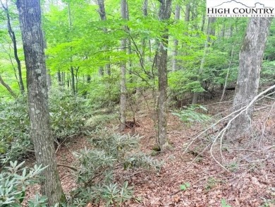 Sloping, wooded lot located in the desirable Shadow Brook on Mountain Aire Golf Course in North Carolina - for sale on GolfHomes.com, golf home, golf lot