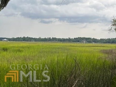 Located right on the Salt Marsh overlooking White Chimney River on Sapelo Hammock Golf Club in Georgia - for sale on GolfHomes.com, golf home, golf lot