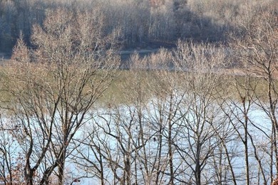 AMAZING PANORAMIC LAKE VIEWS FROM THE NEW WRAPAROUND DECK & HUGE on Barren River State Park Golf Course in Kentucky - for sale on GolfHomes.com, golf home, golf lot