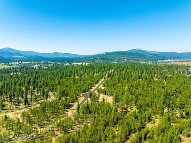 Located in a gated community in Blanchard, Idaho, this 2,512 sq on Stoneridge Golf Club in Idaho - for sale on GolfHomes.com, golf home, golf lot