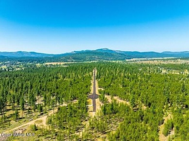 Located in a gated community in Blanchard, Idaho, this 2,512 sq on Stoneridge Golf Club in Idaho - for sale on GolfHomes.com, golf home, golf lot