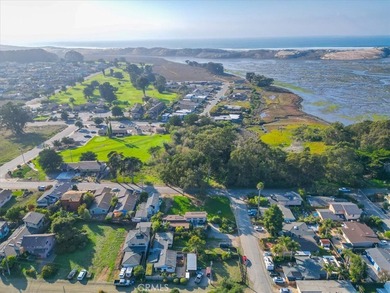 This property has several standout features that make it truly on Sea Pines Golf Resort in California - for sale on GolfHomes.com, golf home, golf lot