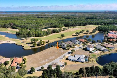 Build your dream home on this exceptional vacant homesite on The Ocean Course At Hammock Beach Resort in Florida - for sale on GolfHomes.com, golf home, golf lot