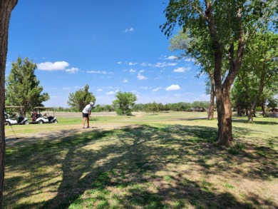 Discover this delightful home in NW Lubbock! Positioned within on Shadow Hills Golf Course in Texas - for sale on GolfHomes.com, golf home, golf lot