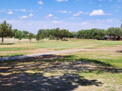 $5,000 closing cost consideration*** Discover this delightful on Shadow Hills Golf Course in Texas - for sale on GolfHomes.com, golf home, golf lot