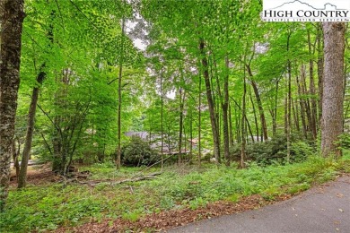 One of the last buildable lots in Lake View Hills neighborhood on Land Harbor Golf Course in North Carolina - for sale on GolfHomes.com, golf home, golf lot